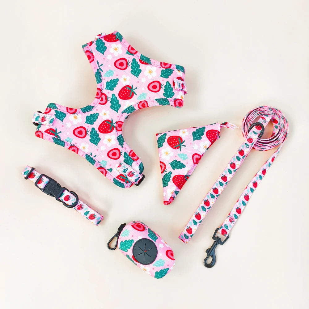 Luxury Dog Harness, Collar & Leash. Accessories Polyester Adjustable Pet Vest Harness Set For Small Medium Large Dogs