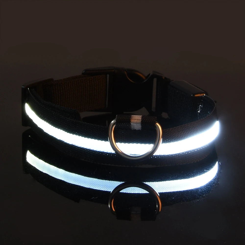 LED Safety Collar
