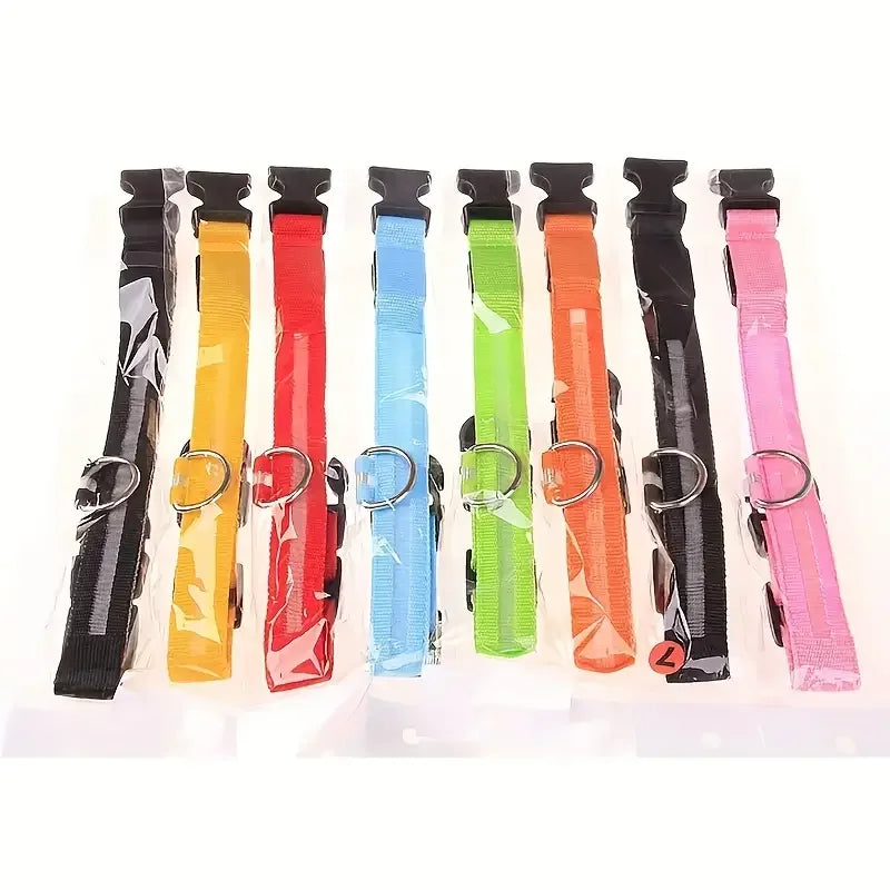LED Safety Collar