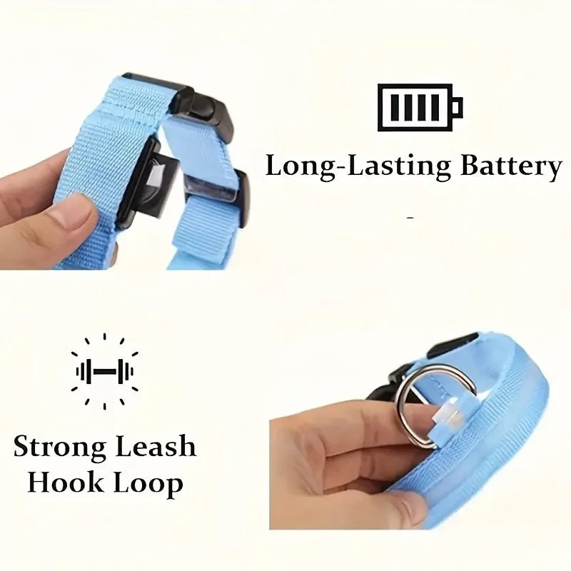 LED Safety Collar