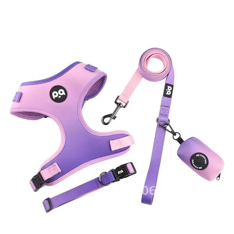 Pet Harness and Leash Set