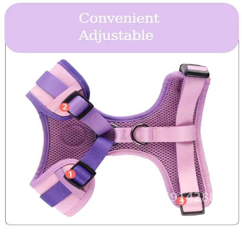 Pet Harness and Leash Set