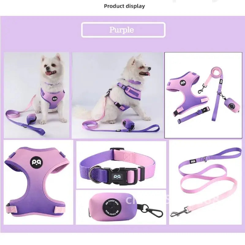 Pet Harness and Leash Set