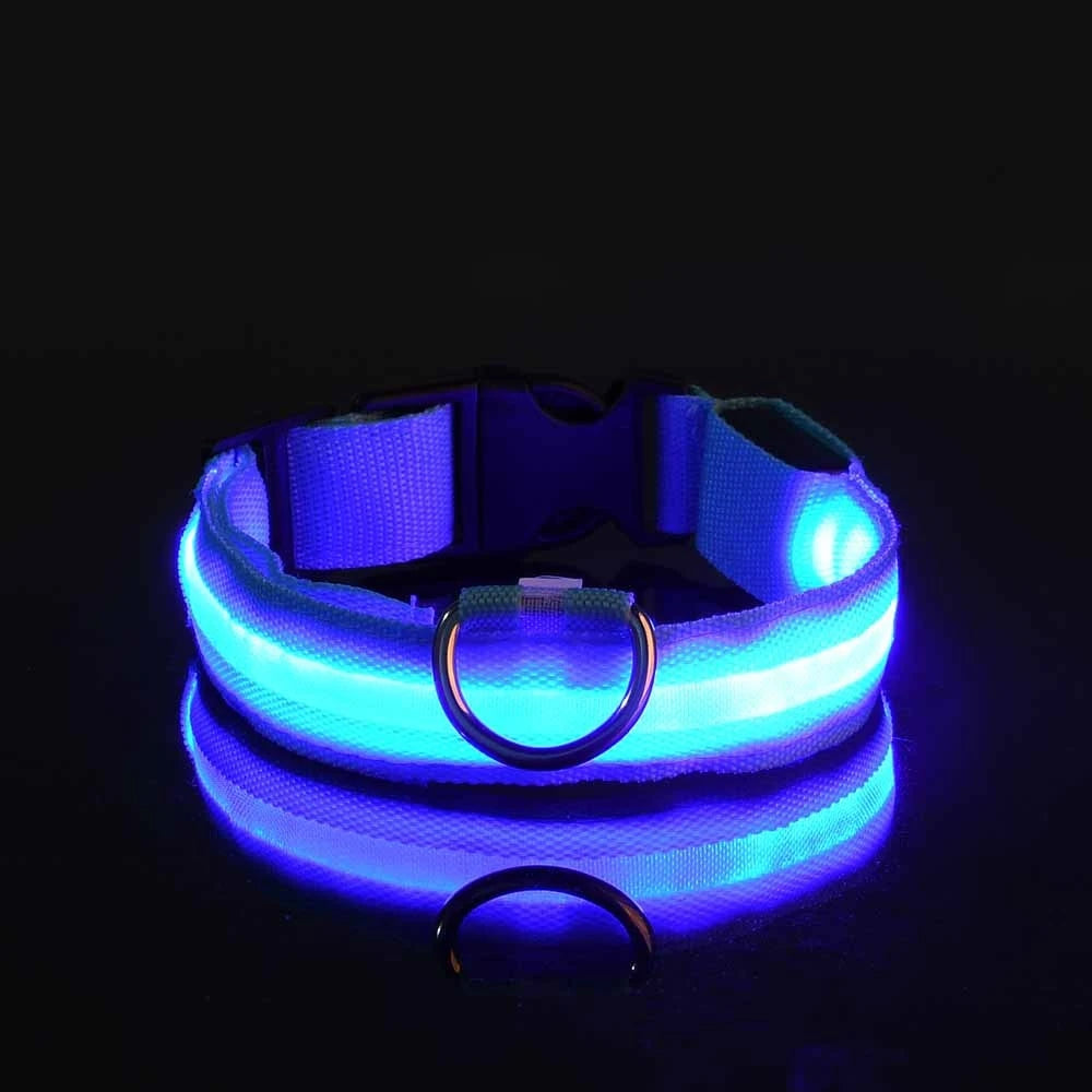 LED Safety Collar