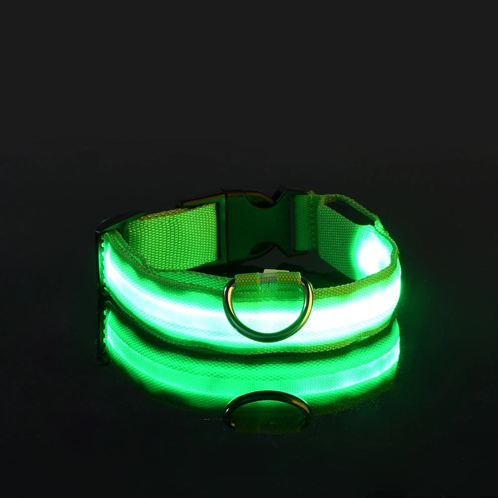 LED Safety Collar