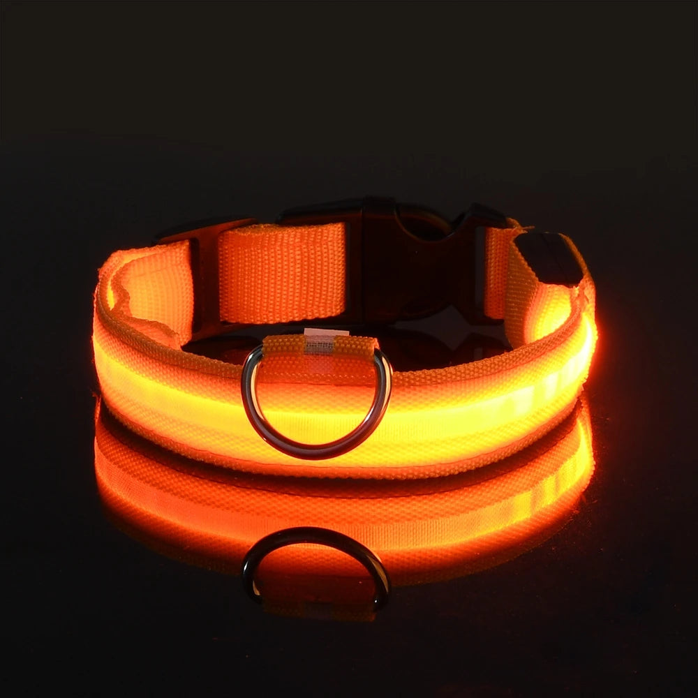 LED Safety Collar