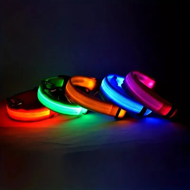 LED Safety Collar