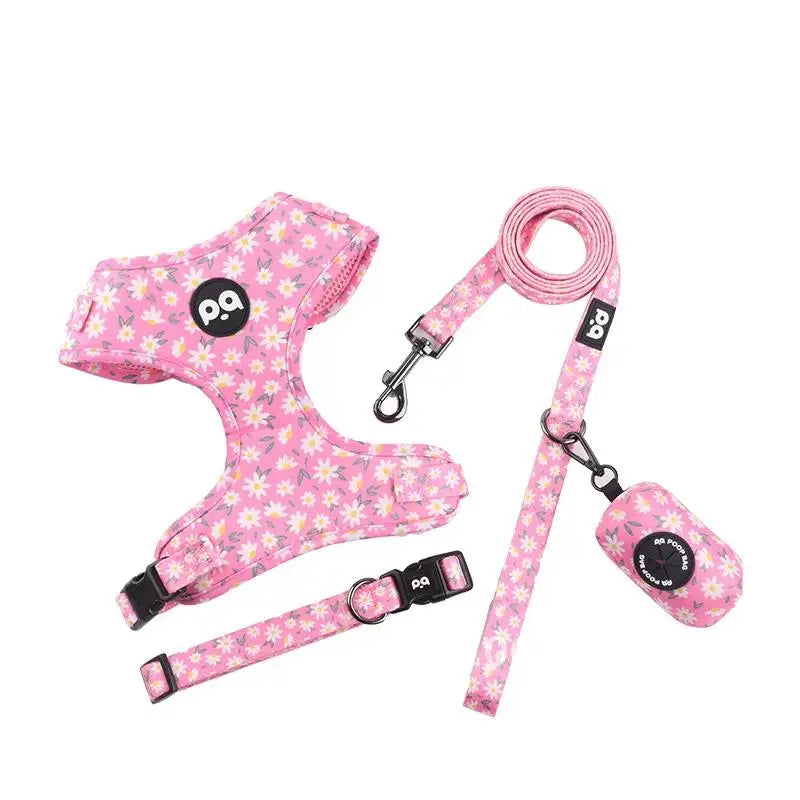 Pet Harness and Leash Set