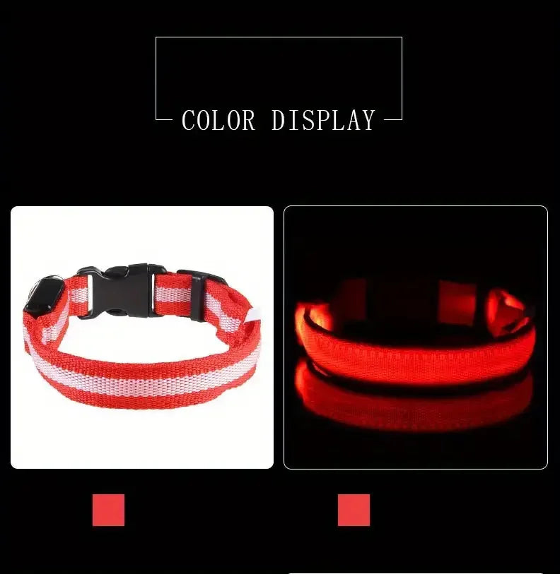 LED Safety Collar