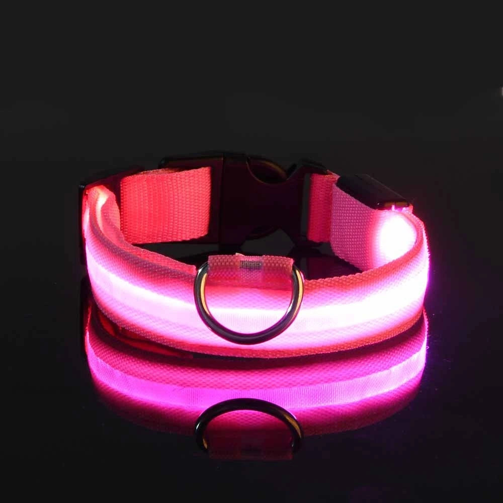 LED Safety Collar