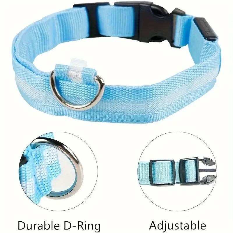 LED Safety Collar
