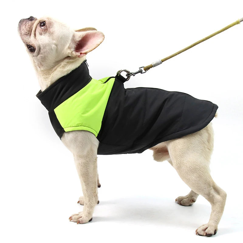 Waterproof Dog Jacket