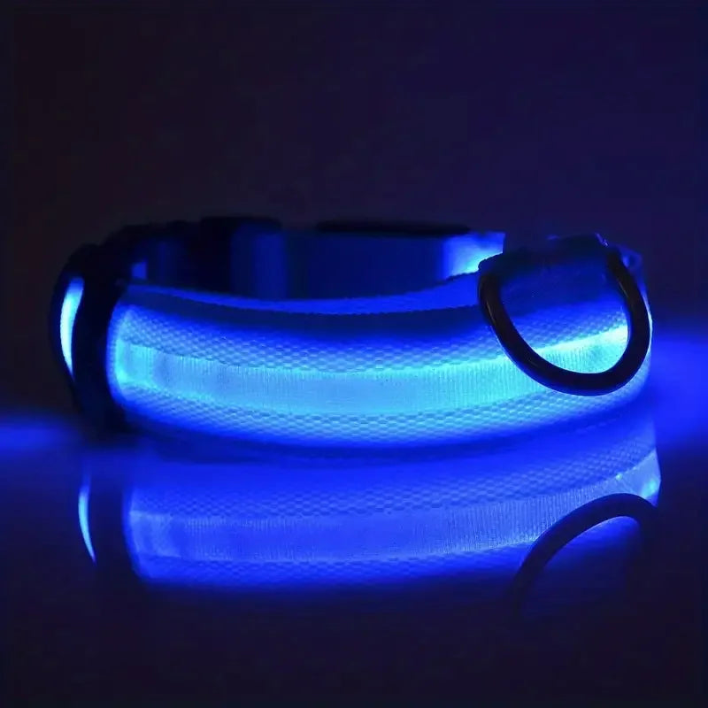 LED Safety Collar