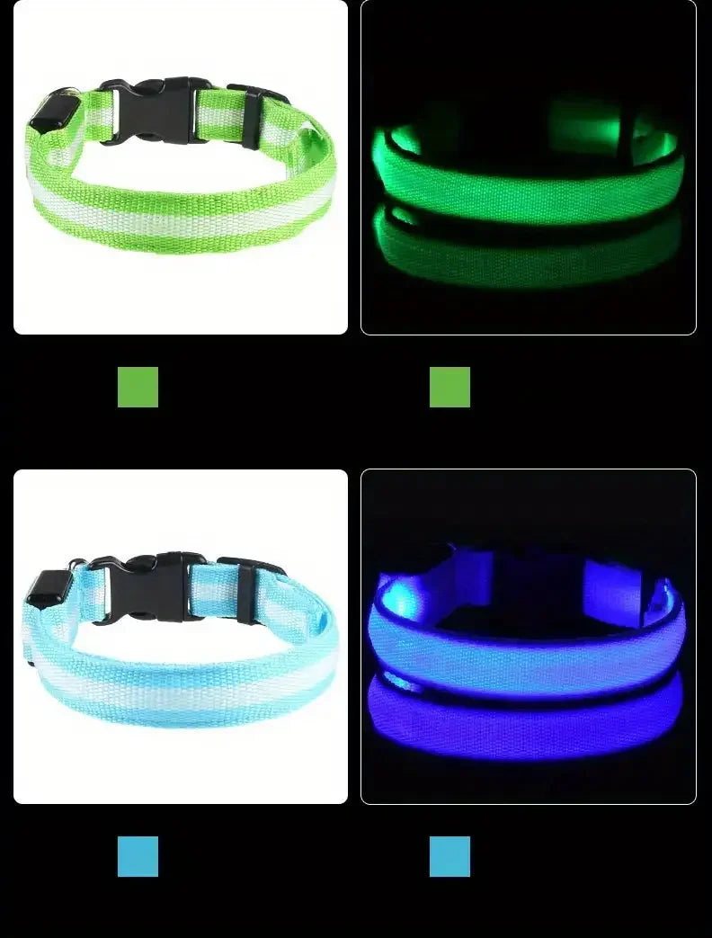 LED Safety Collar