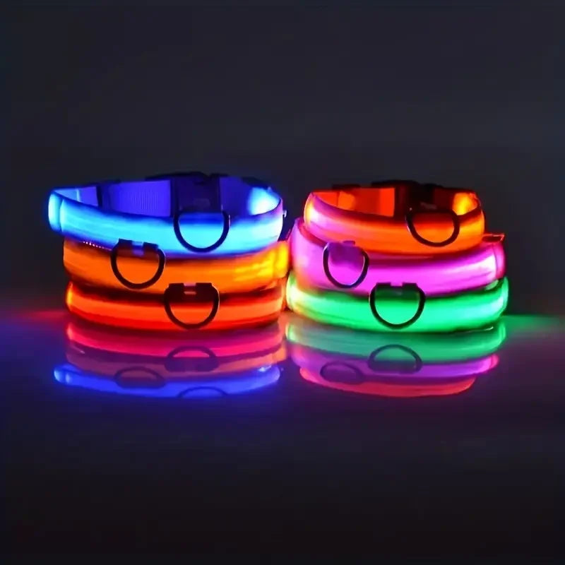 LED Safety Collar
