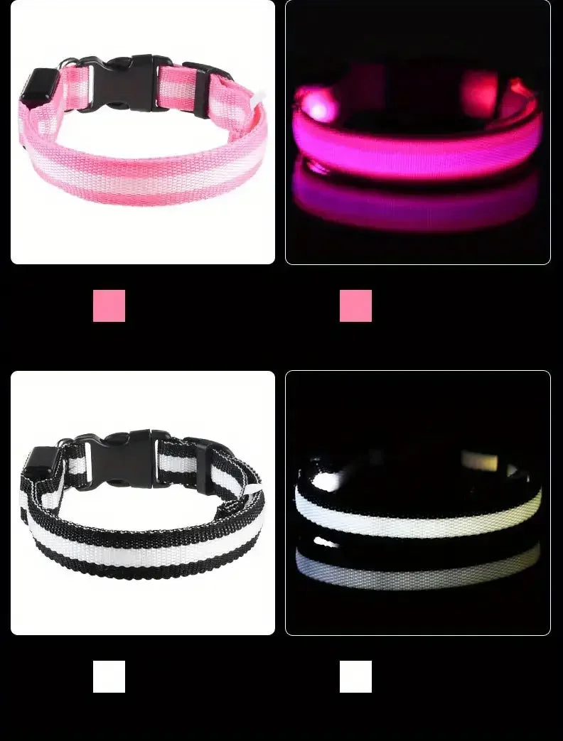 LED Safety Collar