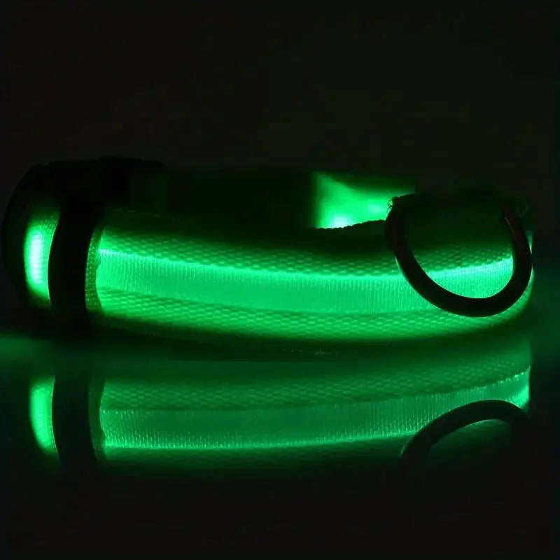 LED Safety Collar