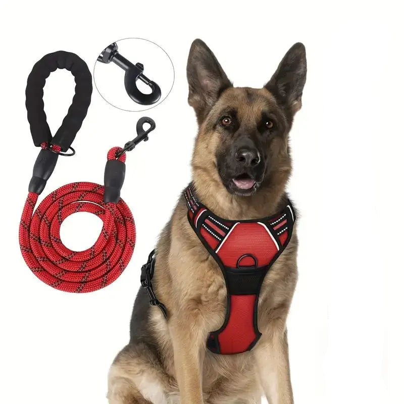 Heavy Duty Dog Harness and Leash