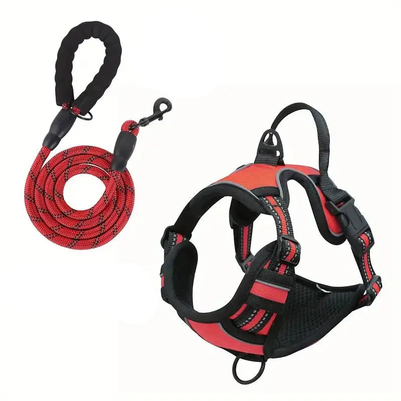 Heavy Duty Dog Harness and Leash