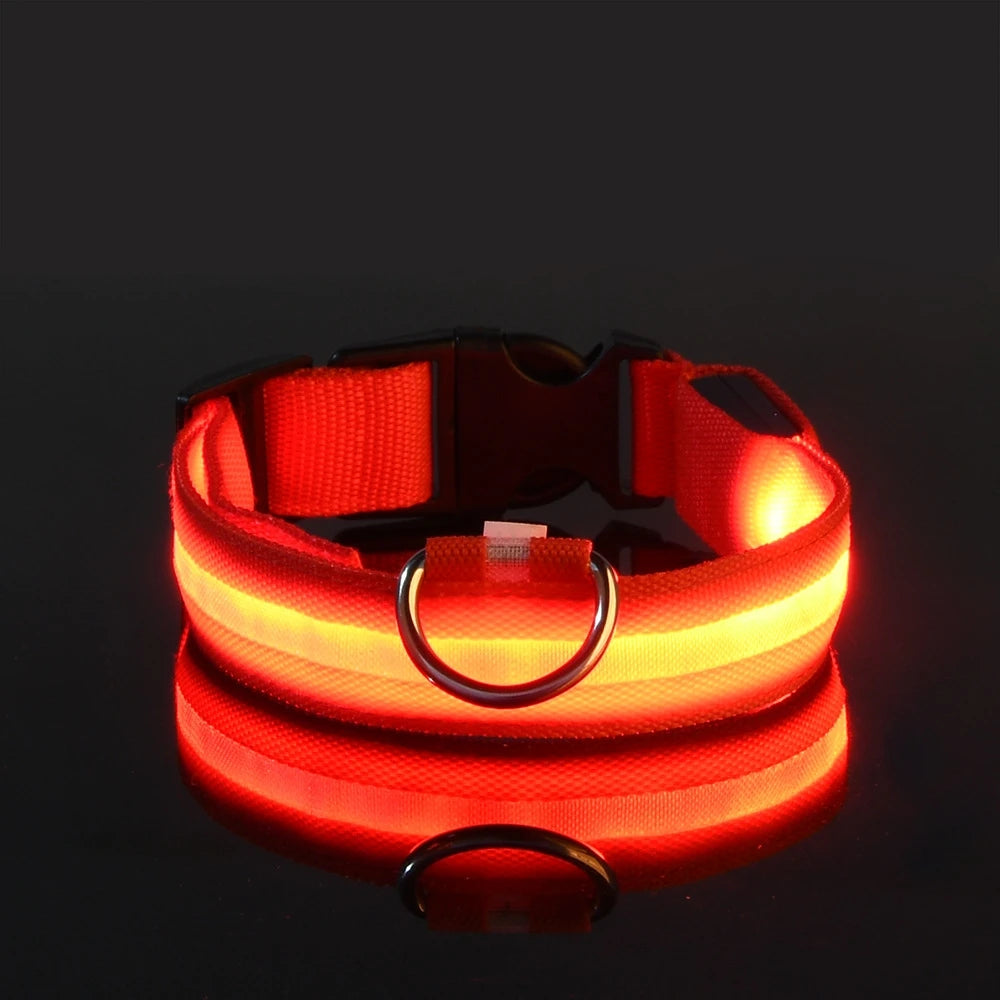 LED Safety Collar