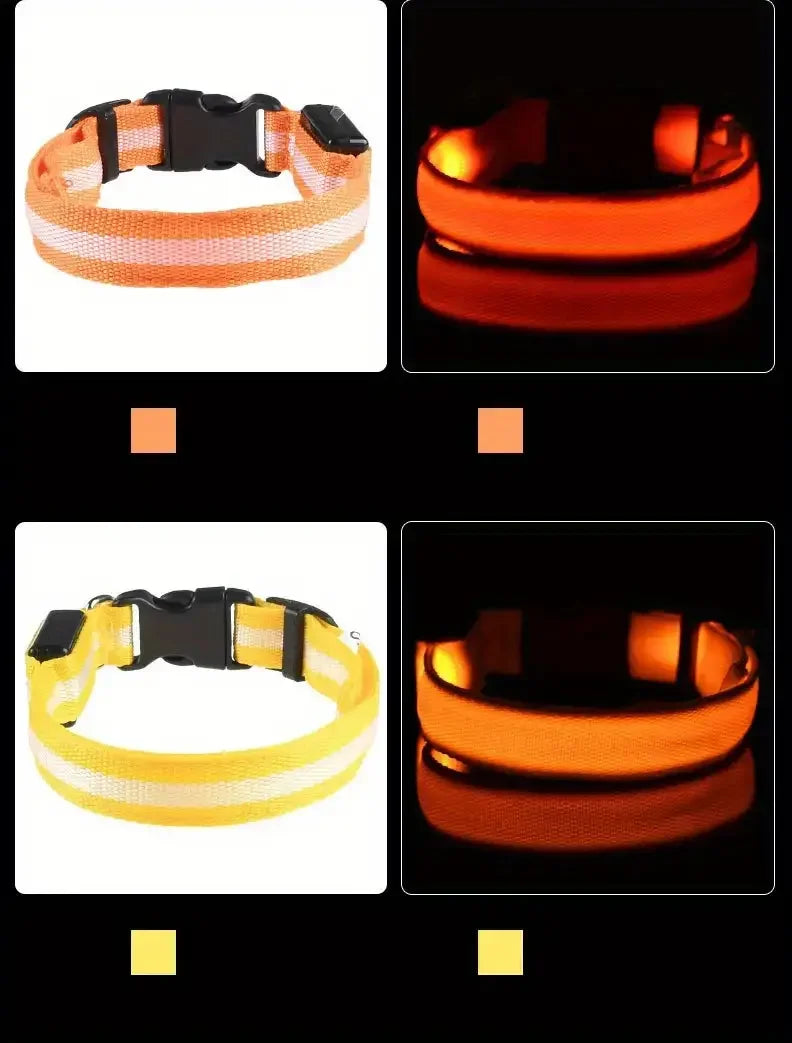 LED Safety Collar