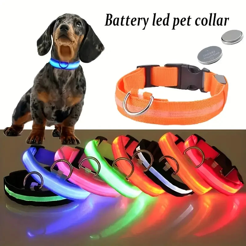 LED Safety Collar