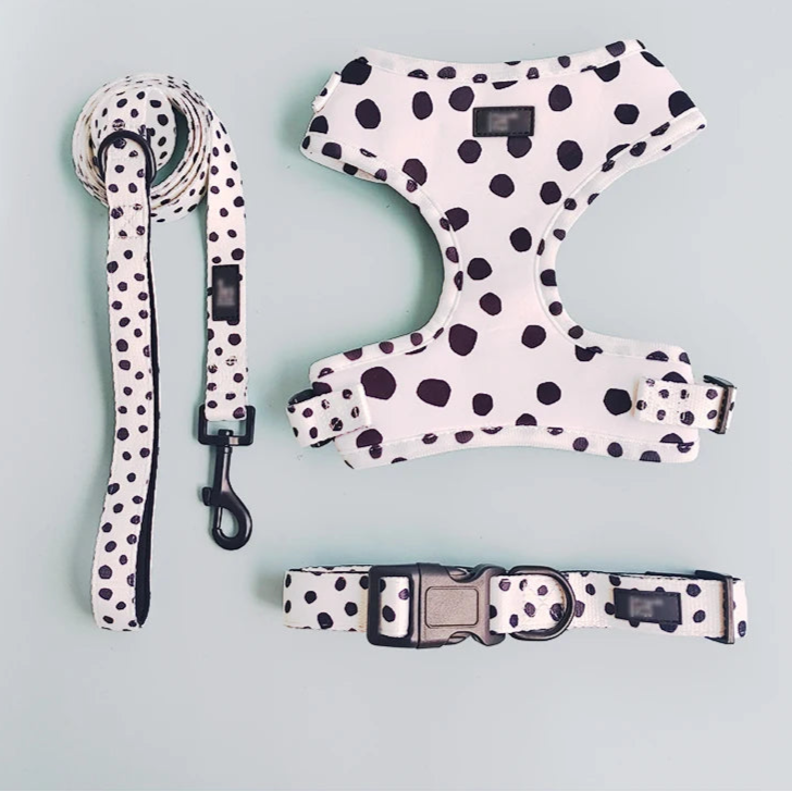 Luxury Dog Harness, Collar & Leash. Accessories Polyester Adjustable Pet Vest Harness Set For Small Medium Large Dogs